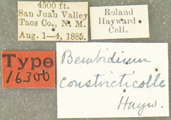 Media type: image;   Entomology 16300 Aspect: labels